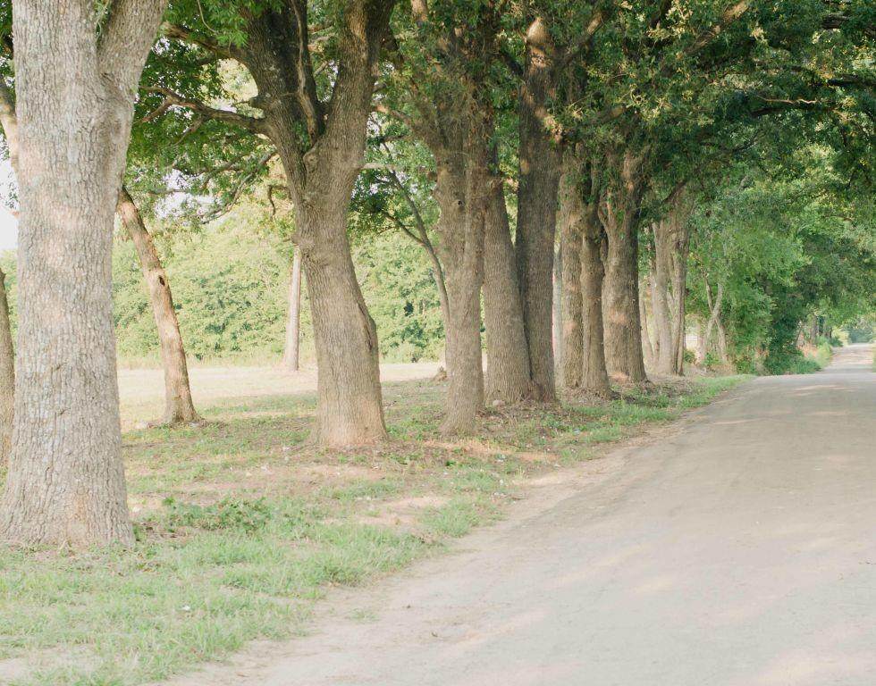 0 County Road 2610 - Photo 1