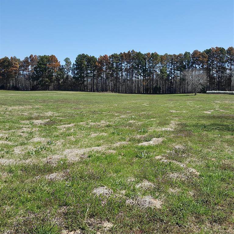 4563 Grand View Drive - Photo 1