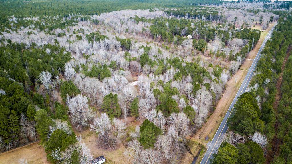 1317 Highway 160 - Photo 1
