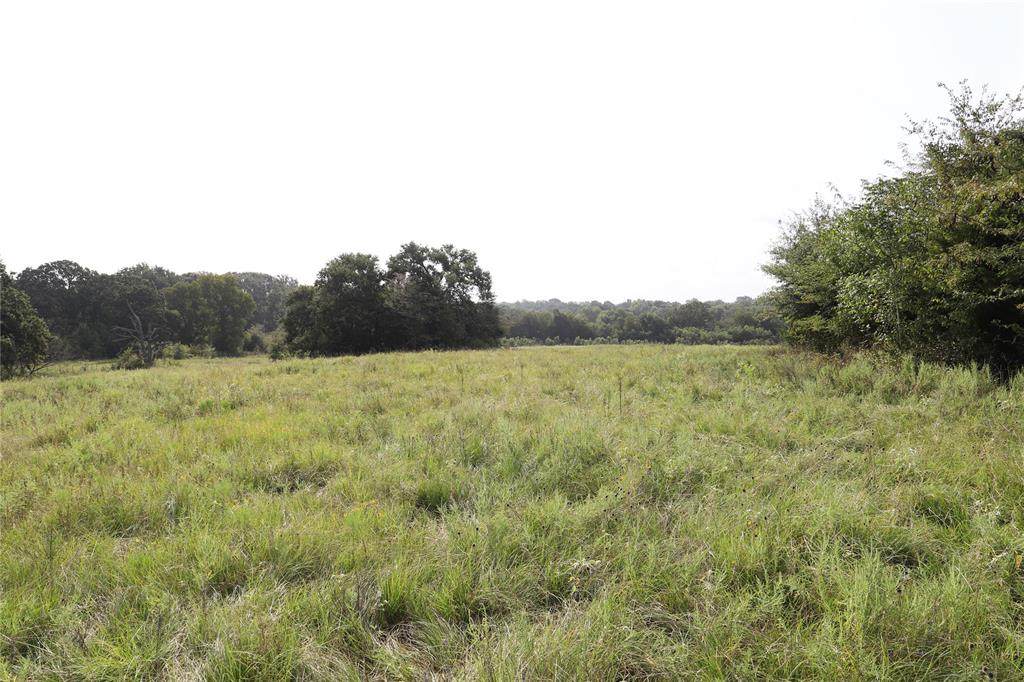1561 Fm 80 - Photo 1