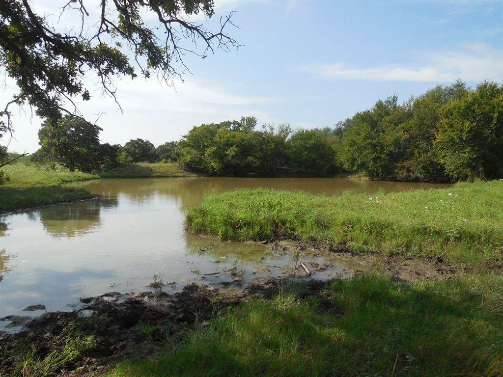 TBD County Road 336 - Photo 1