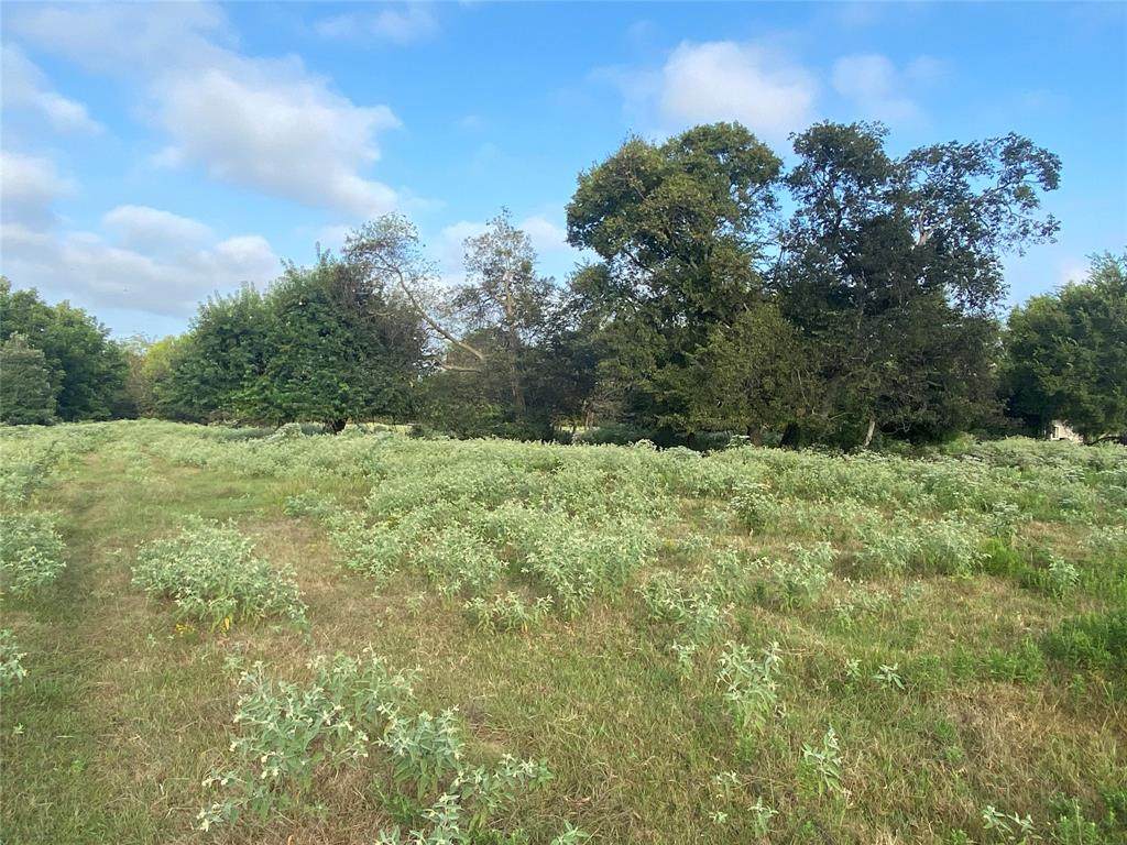 217 Terry Street - Photo 1