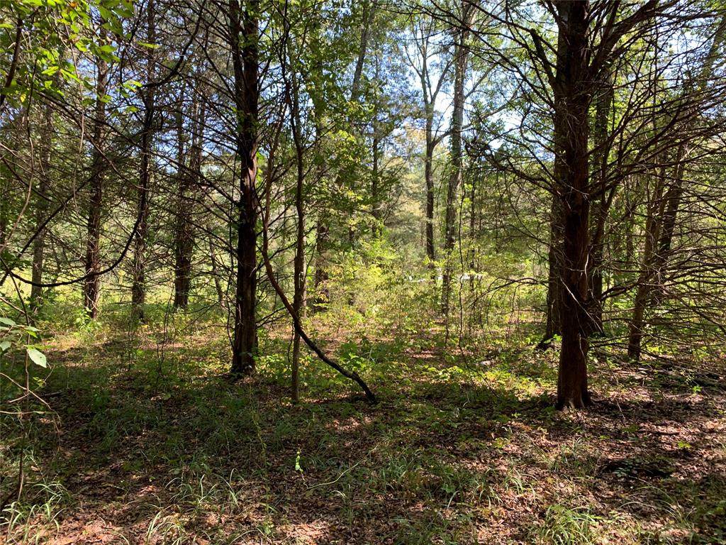 TBD Pr 41 - Photo 1