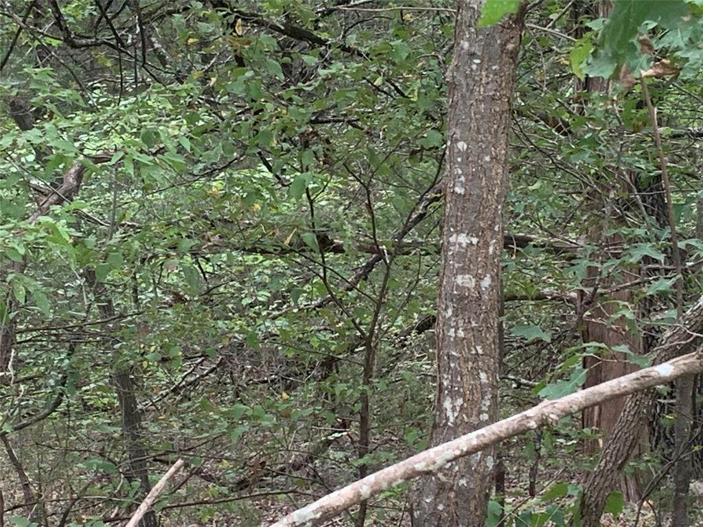 0.5 Stone Creek Circle - Photo 1