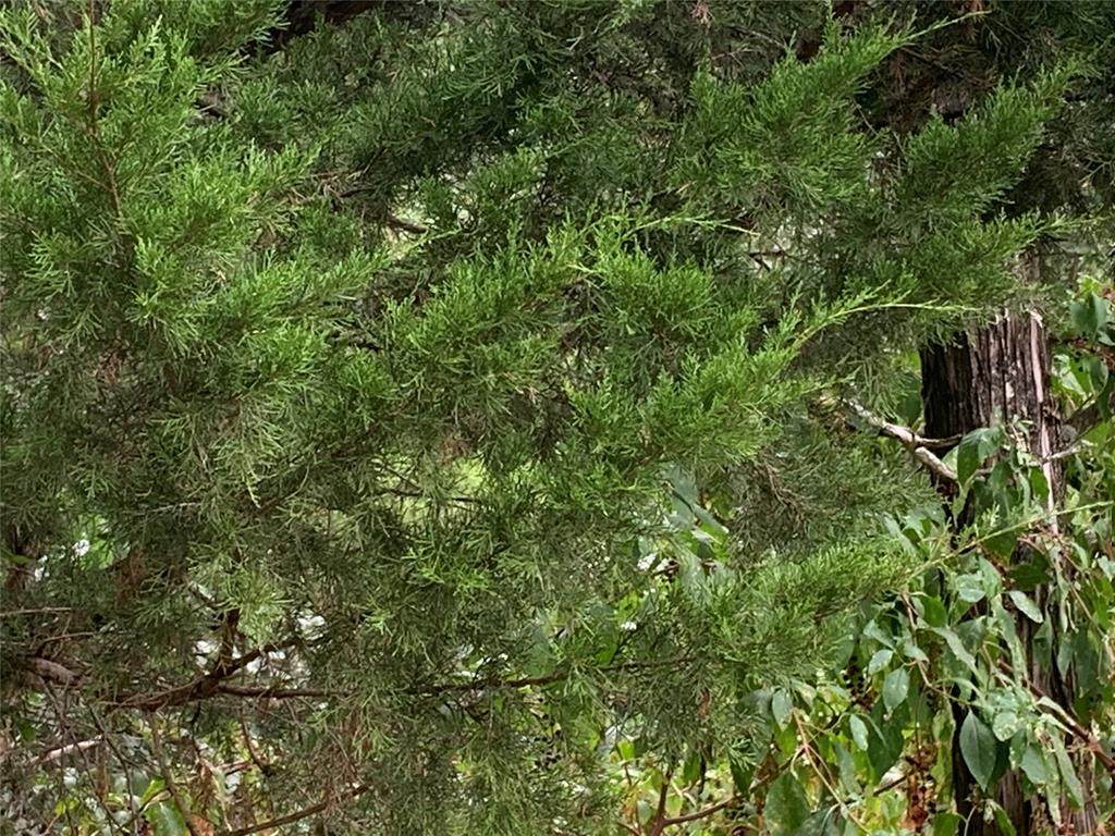 0.8acre Stone Creek Circle - Photo 1