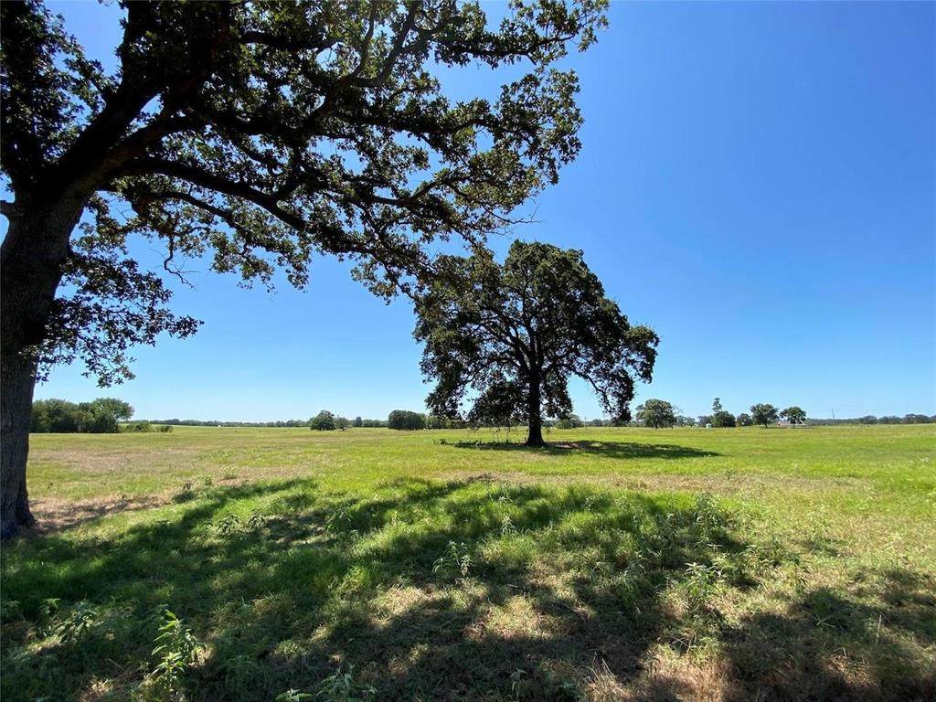 150acre Fm269 - Photo 1