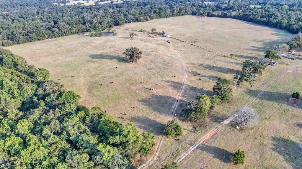 438 County Road 4106 - Photo 1