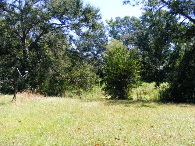13593 County Road 472 - Photo 1