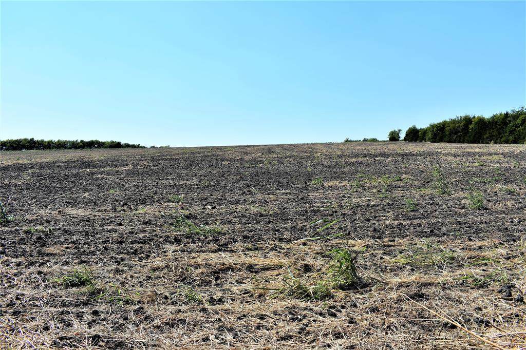 00 Ws Fm 198 - Photo 1