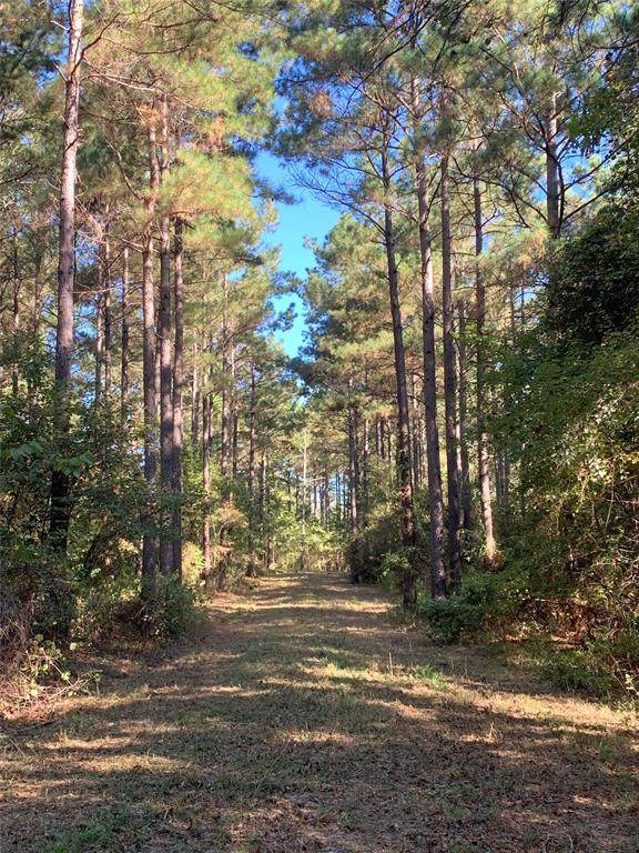 TBD Fm 698 Highway - Photo 1