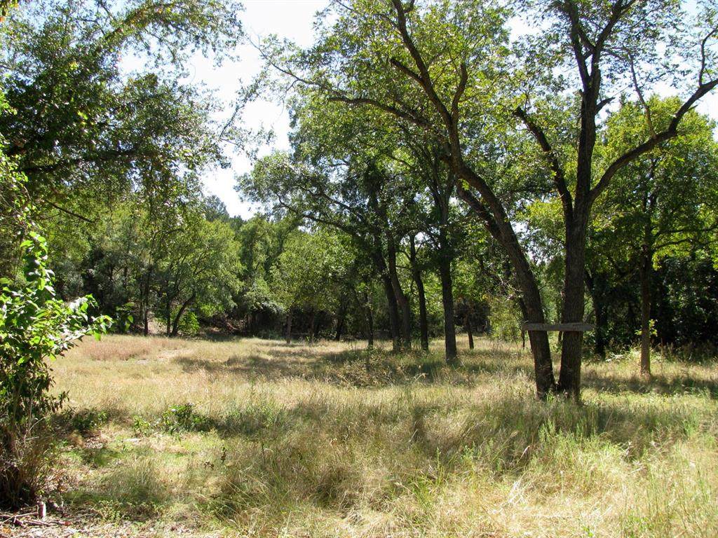 725 County Road 159 - Photo 1
