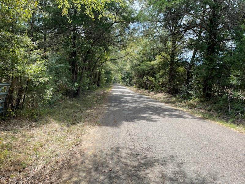 LOT 1 County Road 4609 - Photo 1