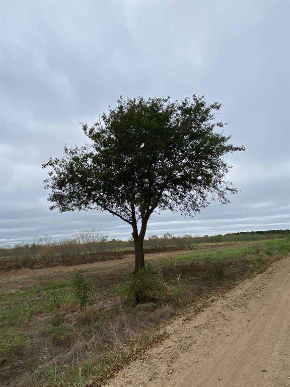 TBD Cr 1280 - Photo 1