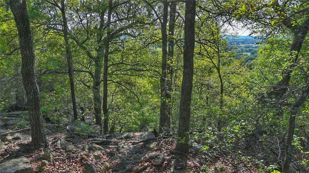 00000 Merritt Road - Photo 1