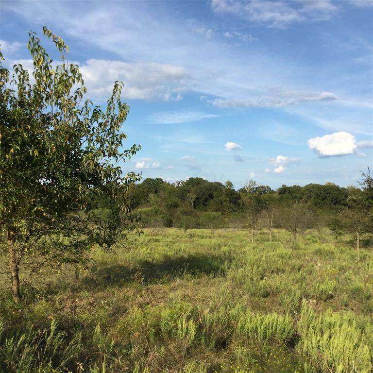 16325 County Road 4190 - Photo 1