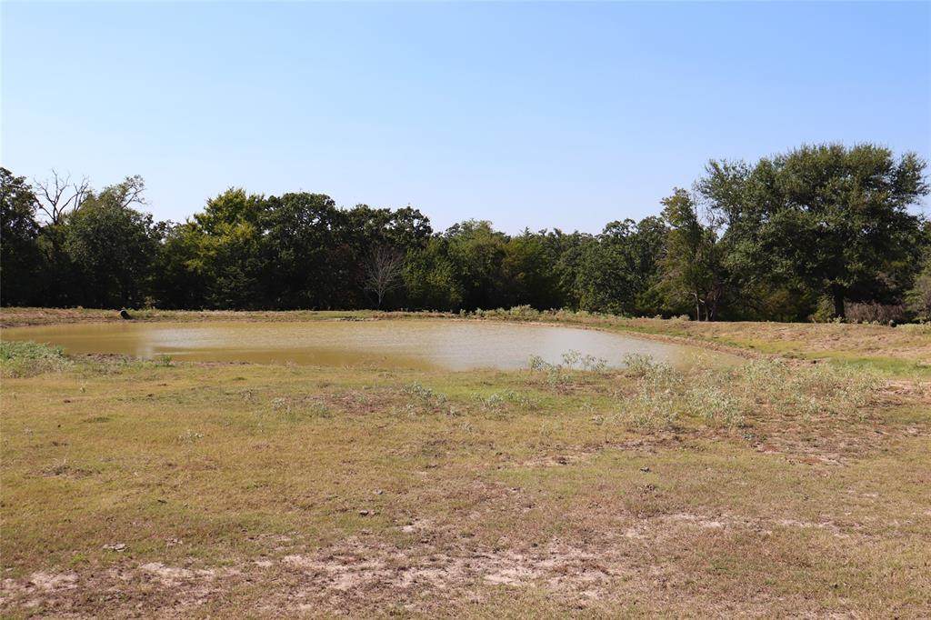11.35ac County Road 4105 - Photo 1