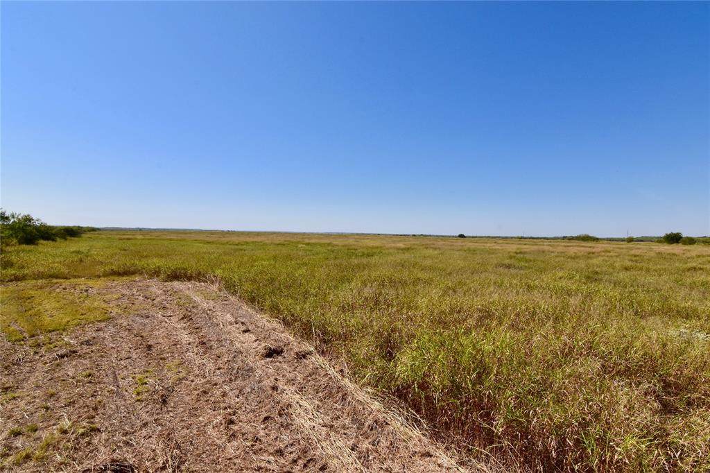 Lot 139 County Road 160 - Photo 1