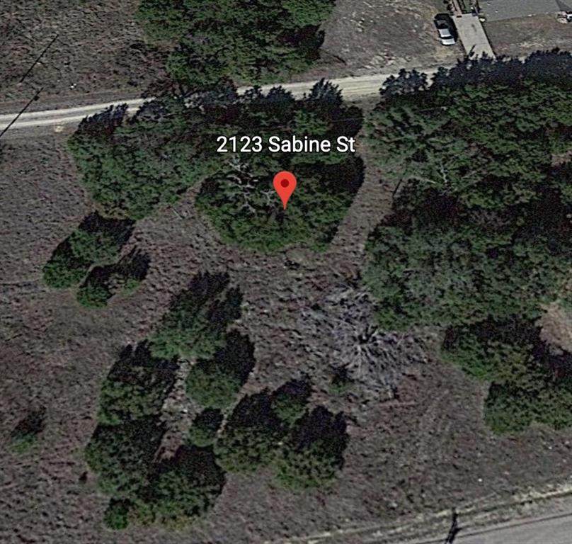 2123 Sabine Street - Photo 1