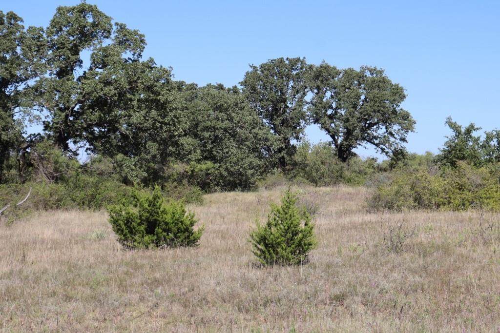 100 County Road 173 - Photo 1