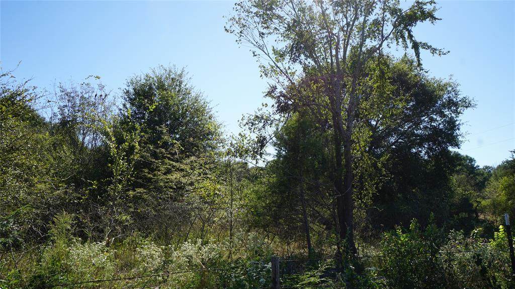 LOT 3 Fm 1396 - Photo 1