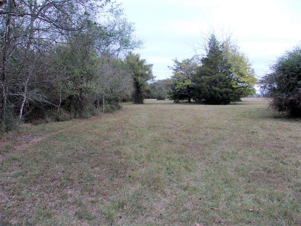 TBD County Road 2415 - Photo 1