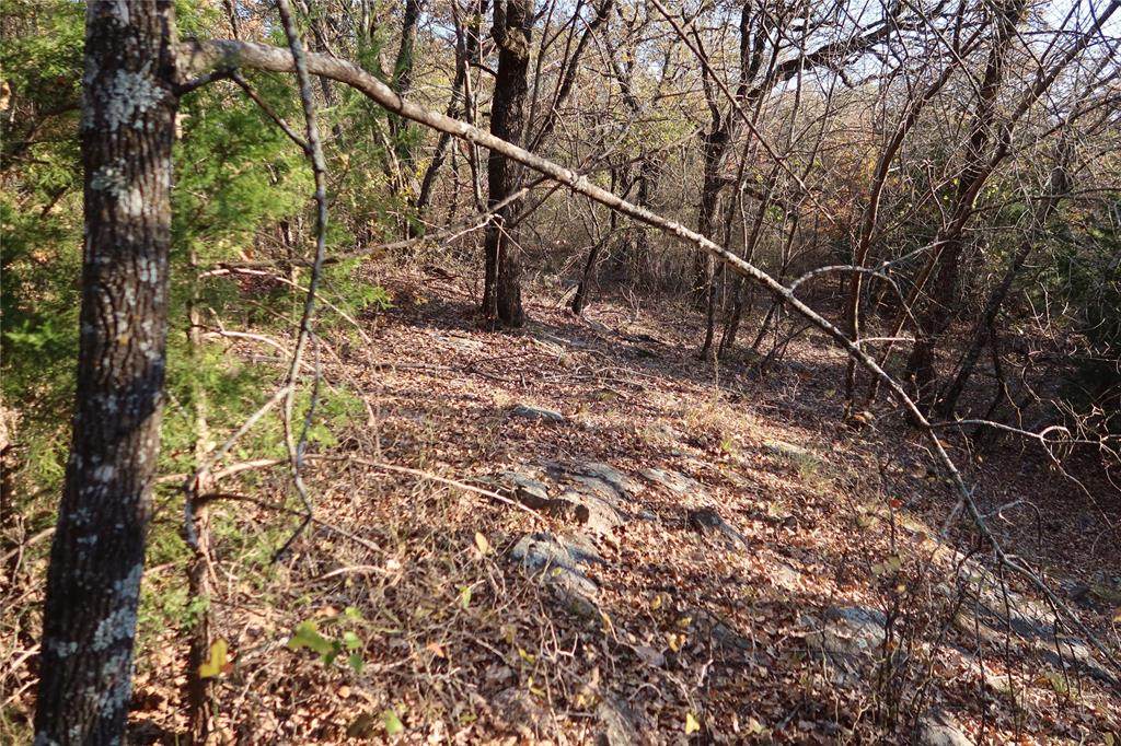 Lot1 Pink Wilson Rd. - Photo 1