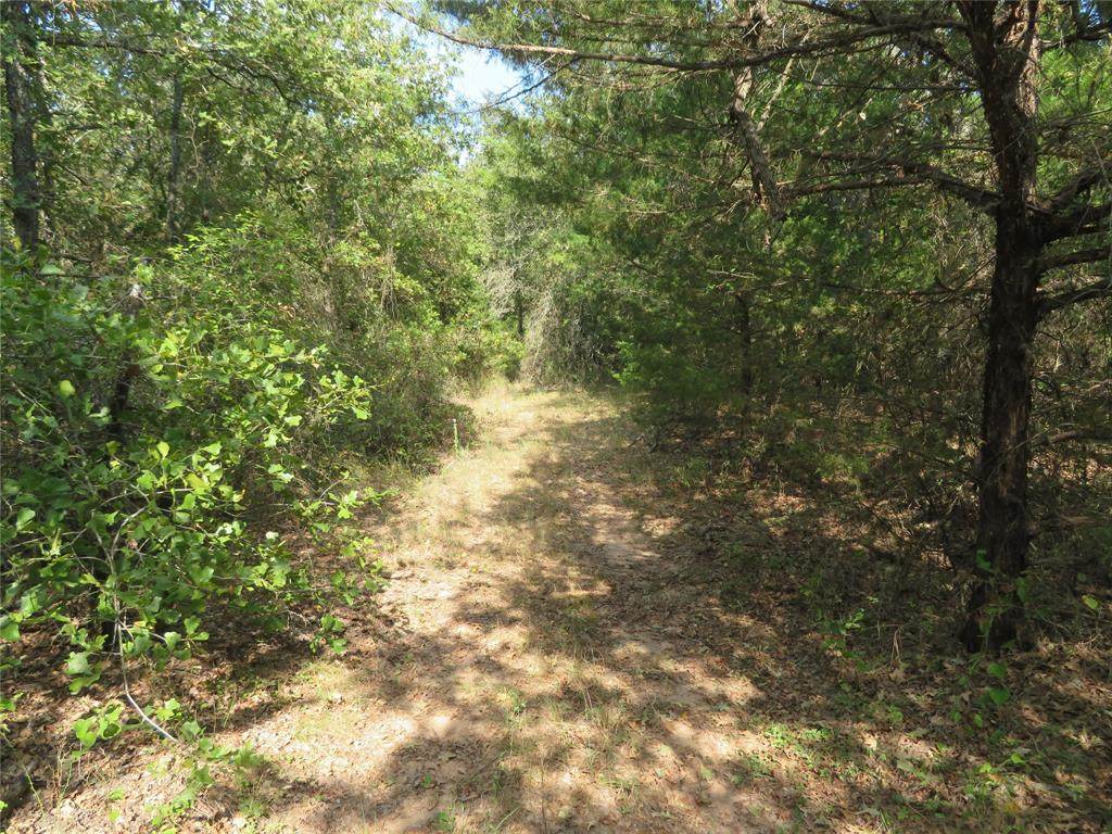 TBD 137 Fruitland Road - Photo 1