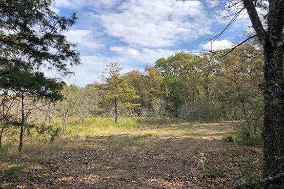 0 Loop 301 - Photo 1