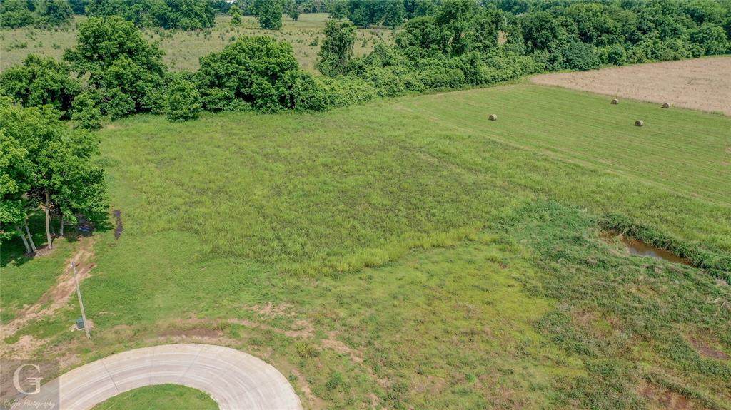 410 Omaha Circle - Photo 1