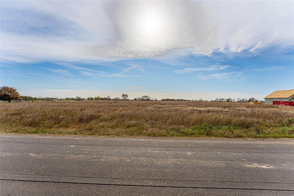 Lot 2 Pecan Tree Road - Photo 1
