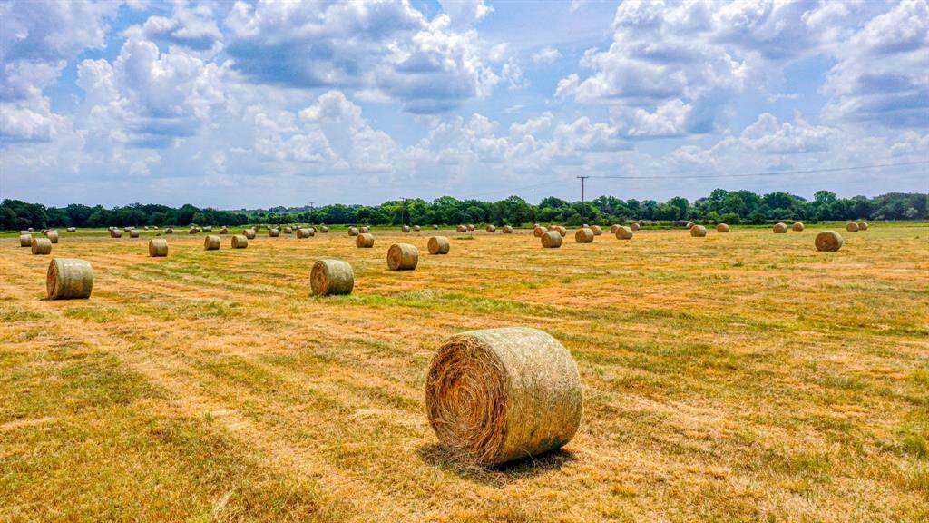 TBD-6 County Road 304 - Photo 1