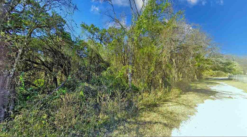 25037 Forrest Drive - Photo 1