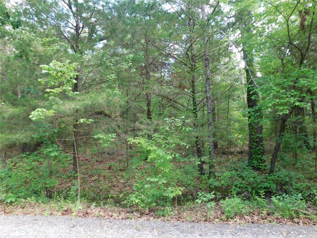 TBD Private Road 8523 - Photo 1