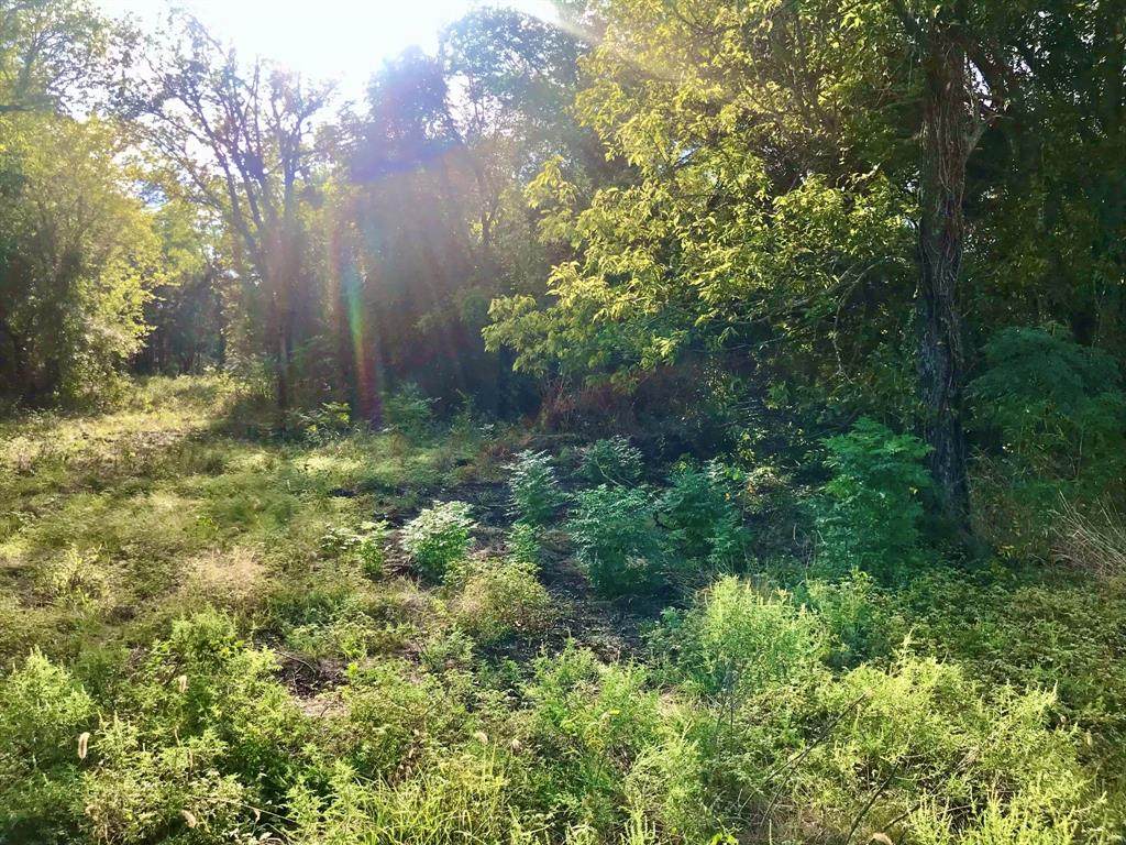 TBD Lot 37 - Photo 1