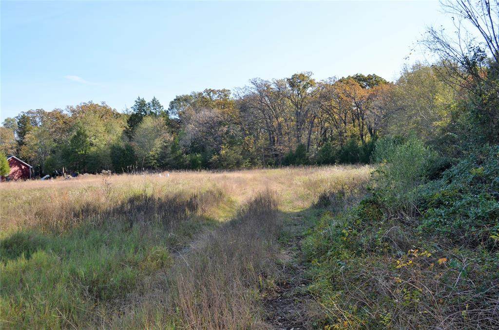 1467 Lawrence Street - Photo 1