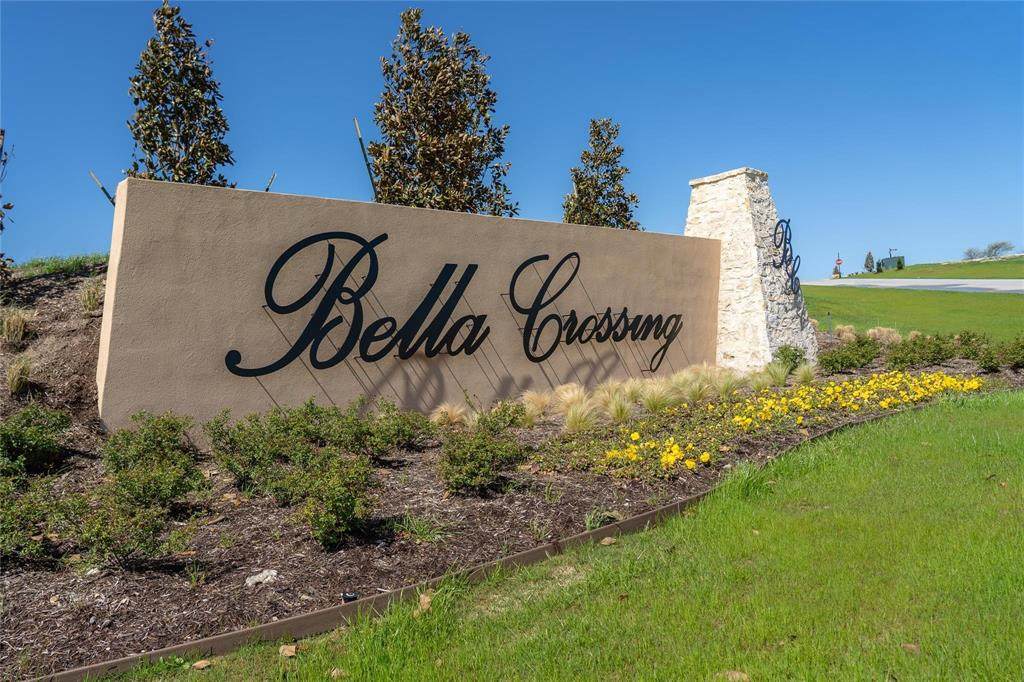 12419 Bella Dio Drive - Photo 1