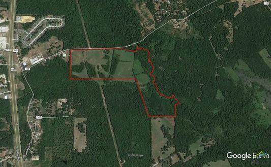 2280 County Road 129 - Photo 1