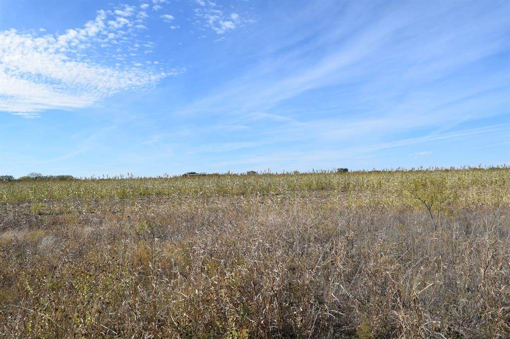 TBD County Road 409 - Photo 1