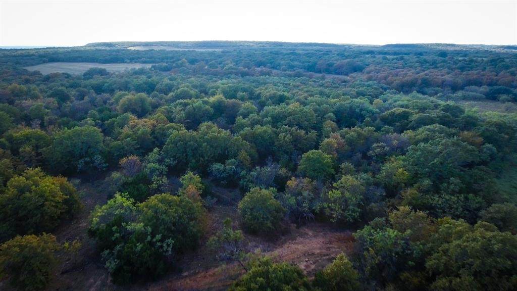 TBD4 County Road 143 - Photo 1