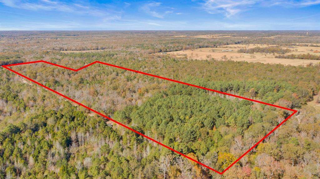 2701 Vz County Road 4609 - Photo 1