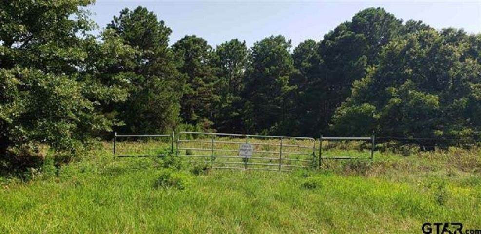 TBD County Road 1400 - Photo 1
