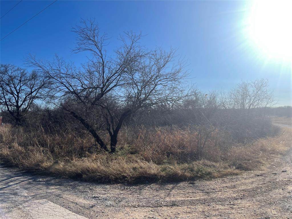 LOT 50 Shady Oaks Drive - Photo 1