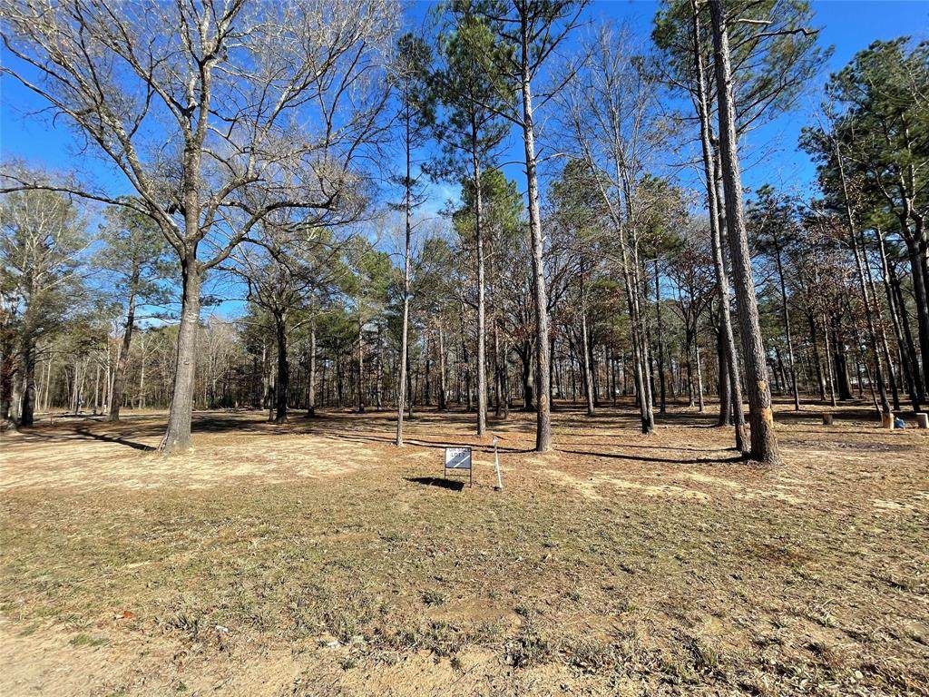 0 Hollow Oak Lane - Photo 1