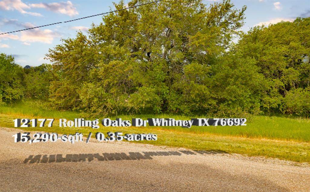 12177 Rolling Oaks Drive - Photo 1