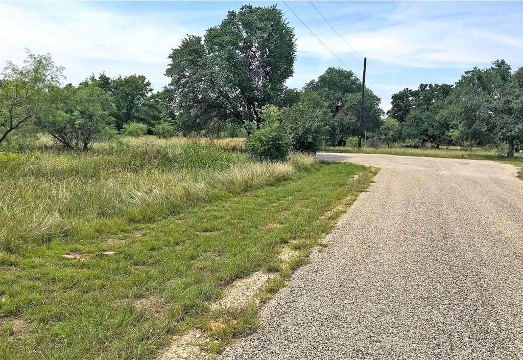 Lot 24 Bear Path Way - Photo 1