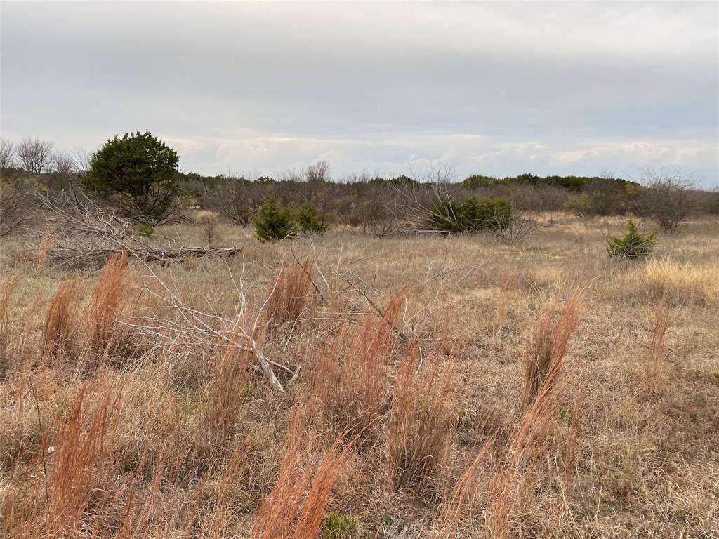 Lot 144 Crooked Stick Drive - Photo 1
