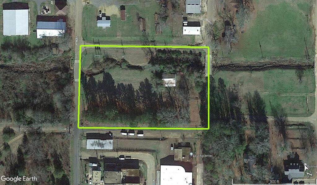 2674 Maple Street - Photo 1
