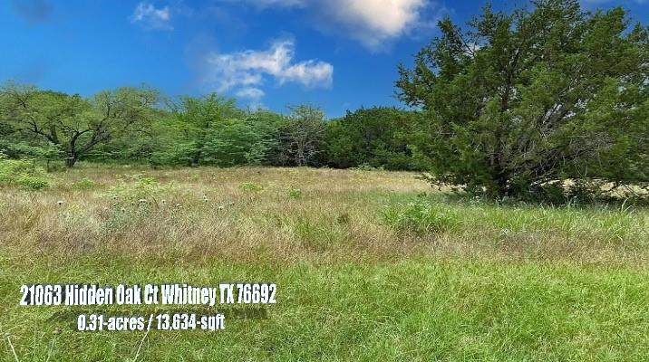 21063 Hidden Oak Court - Photo 1