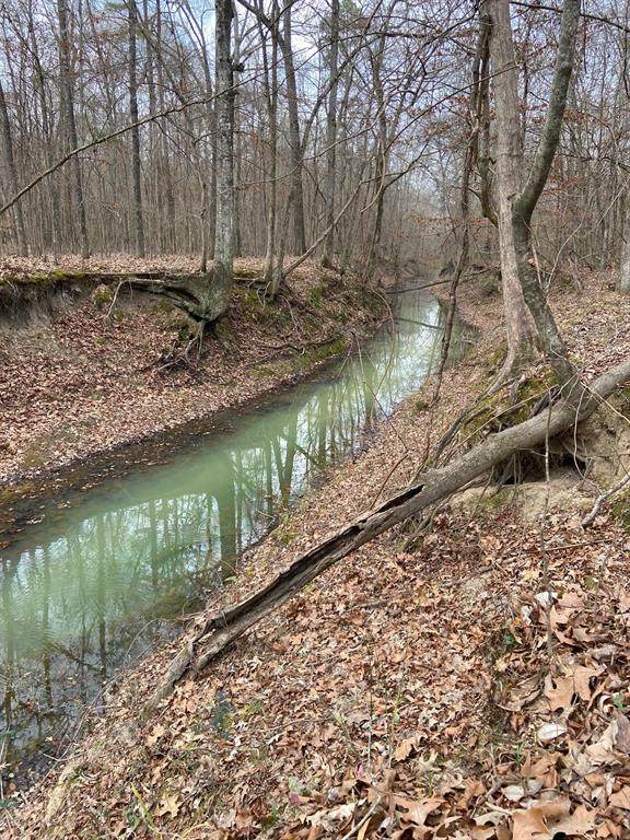 TBD Akin Road - Photo 1