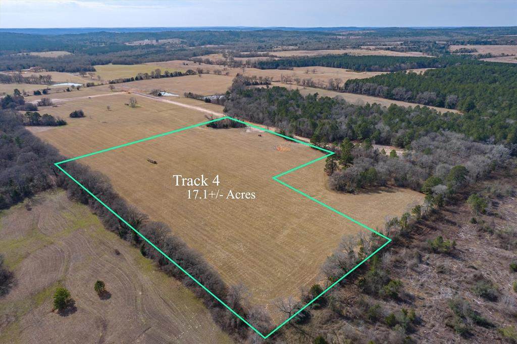 Tract 4 County Road 4217 - Photo 1